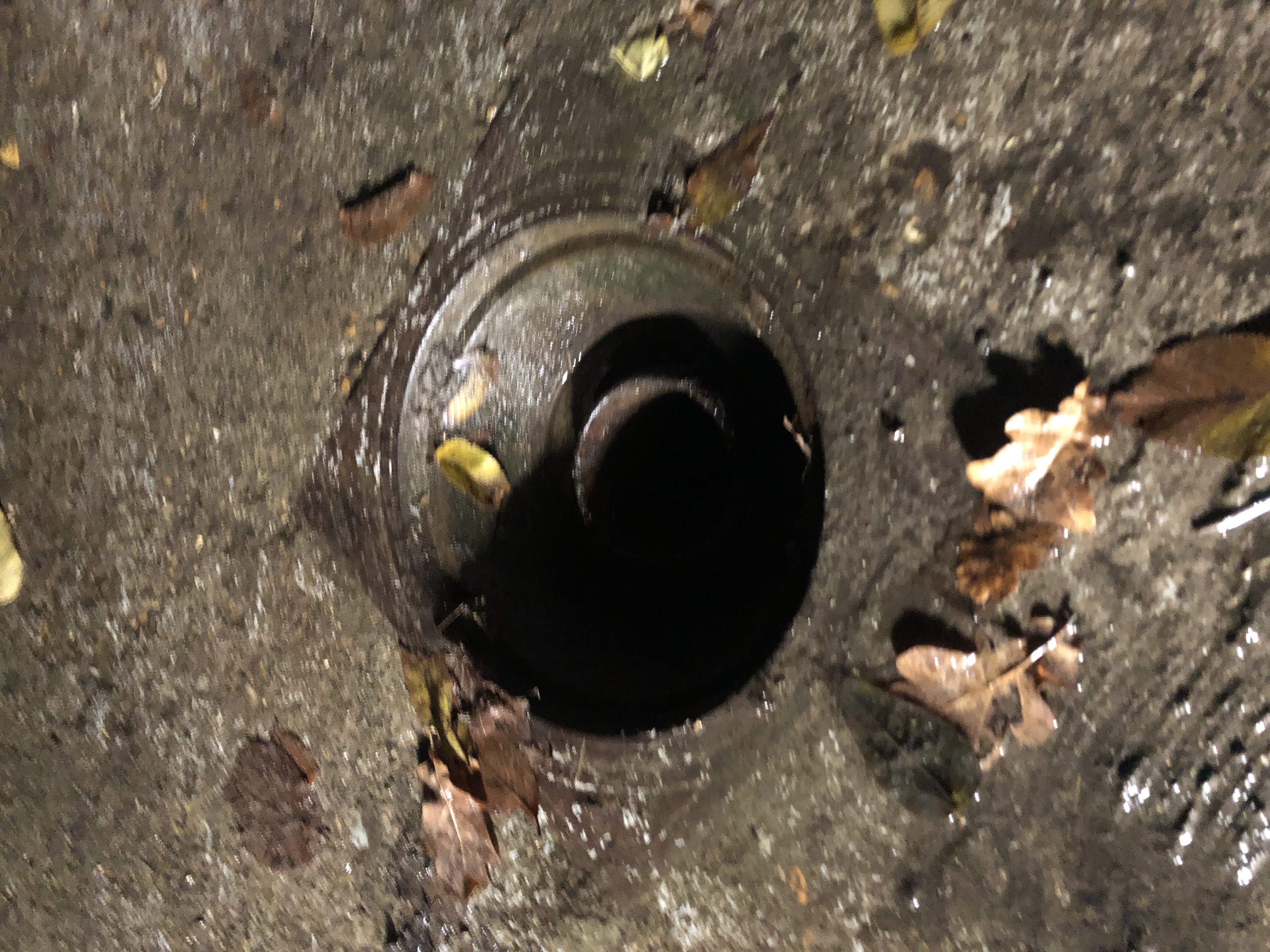 Lưới thoát nước - Ø245x15