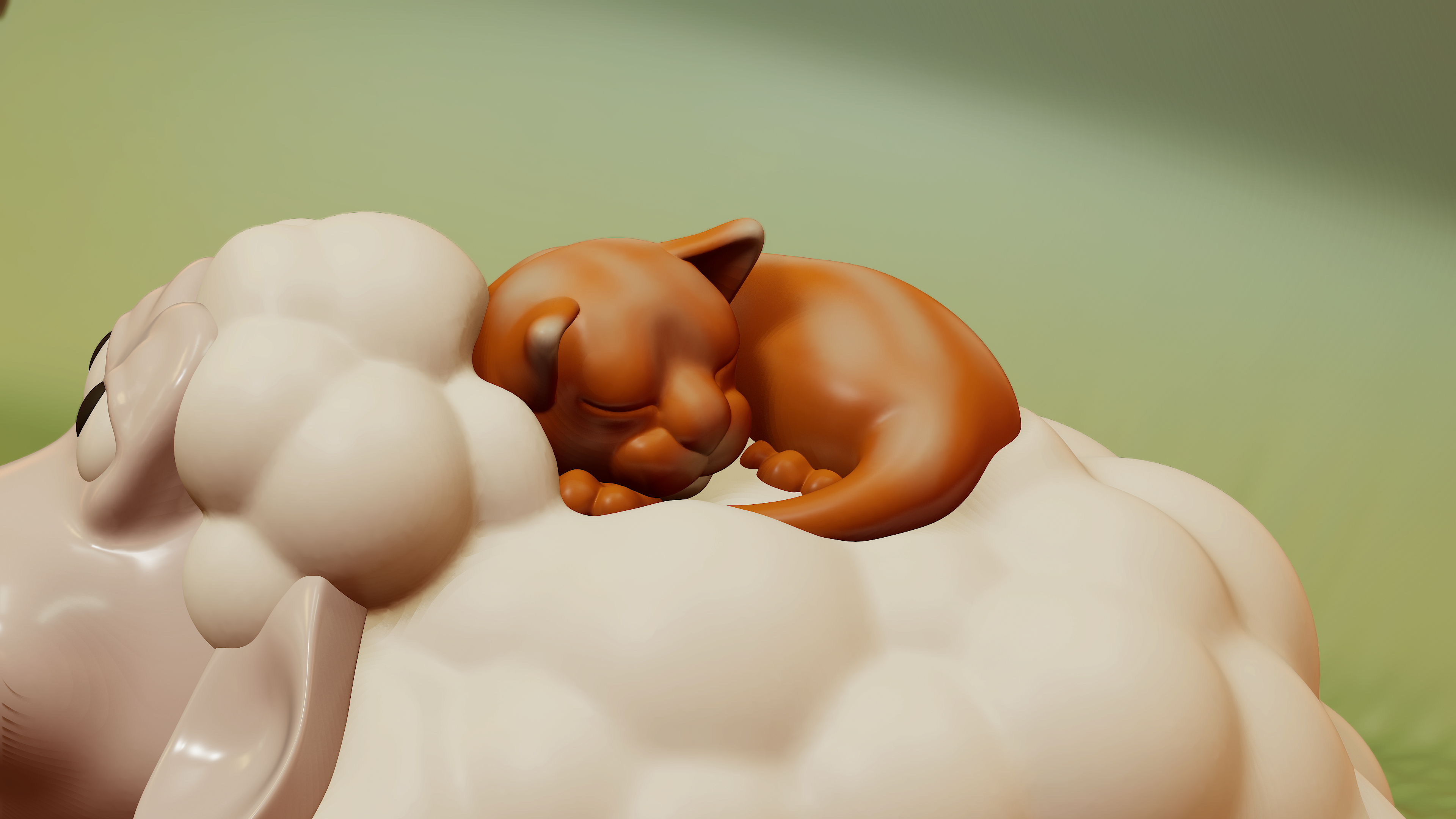 Một con cừu và một con mèo