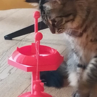 Đồ Chơi Cho Mèo Ba Lần Xoay Vòng!