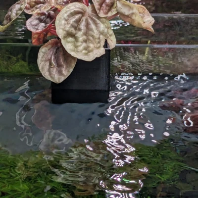 Chậu Trồng Cây Thủy Sinh In Không Cần Support Dễ Dàng - Dùng Cho Kính 4-13mm