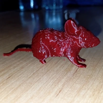 Mô Hình Chuột Đơn Giản