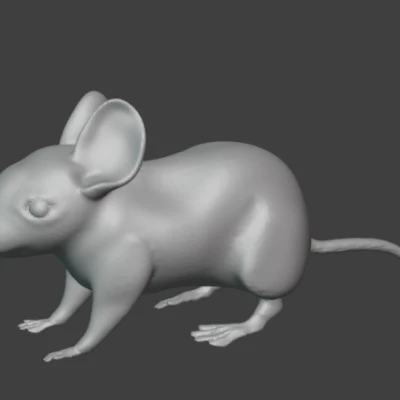 Mô Hình Chuột Đơn Giản