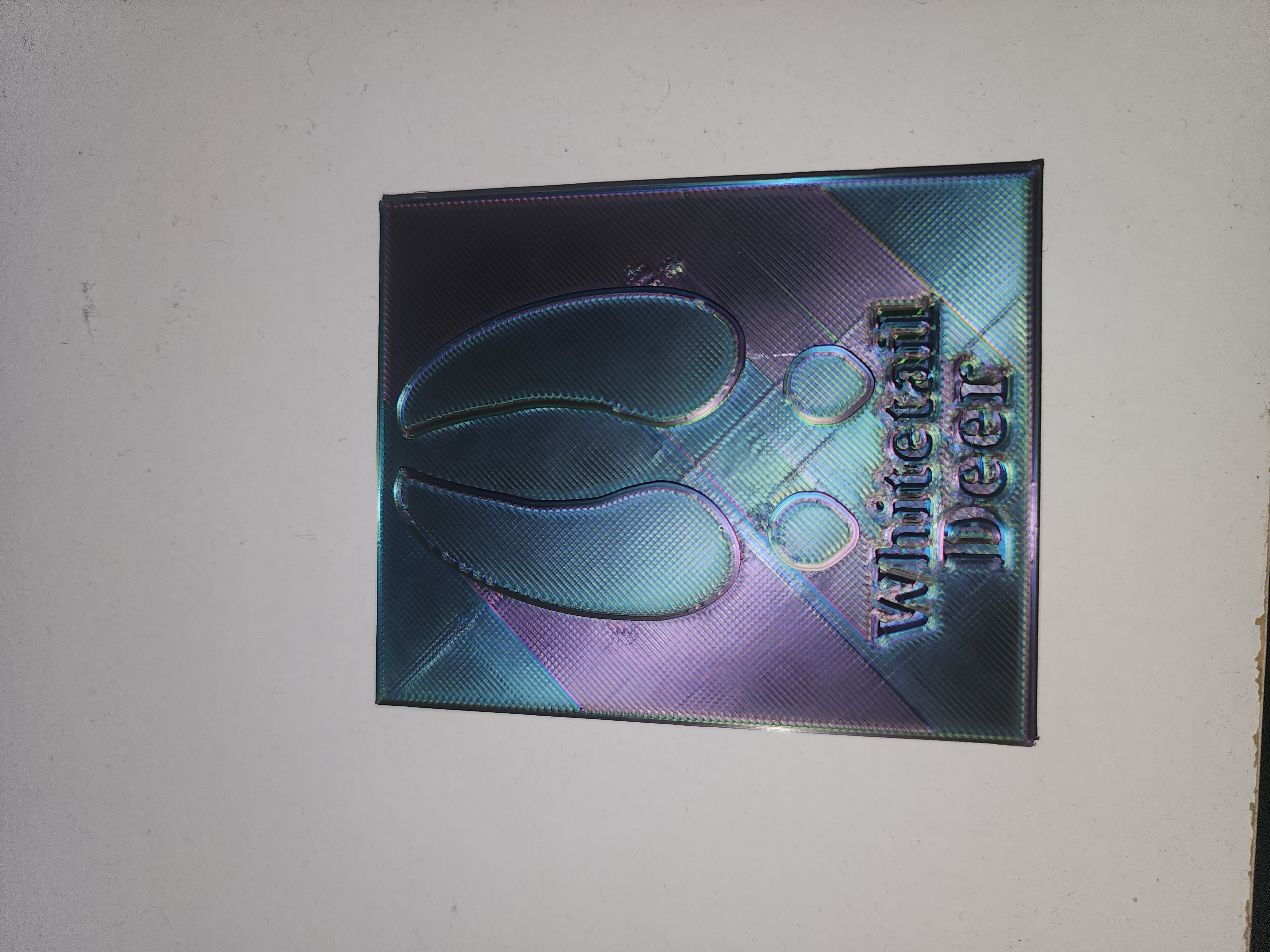 Mẫu Dấu Chân Động Vật Theo Tỷ Lệ