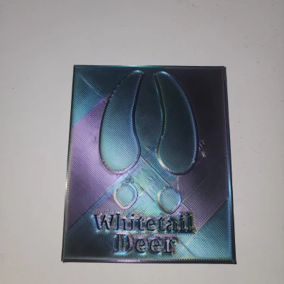 Mẫu Dấu Chân Động Vật Theo Tỷ Lệ