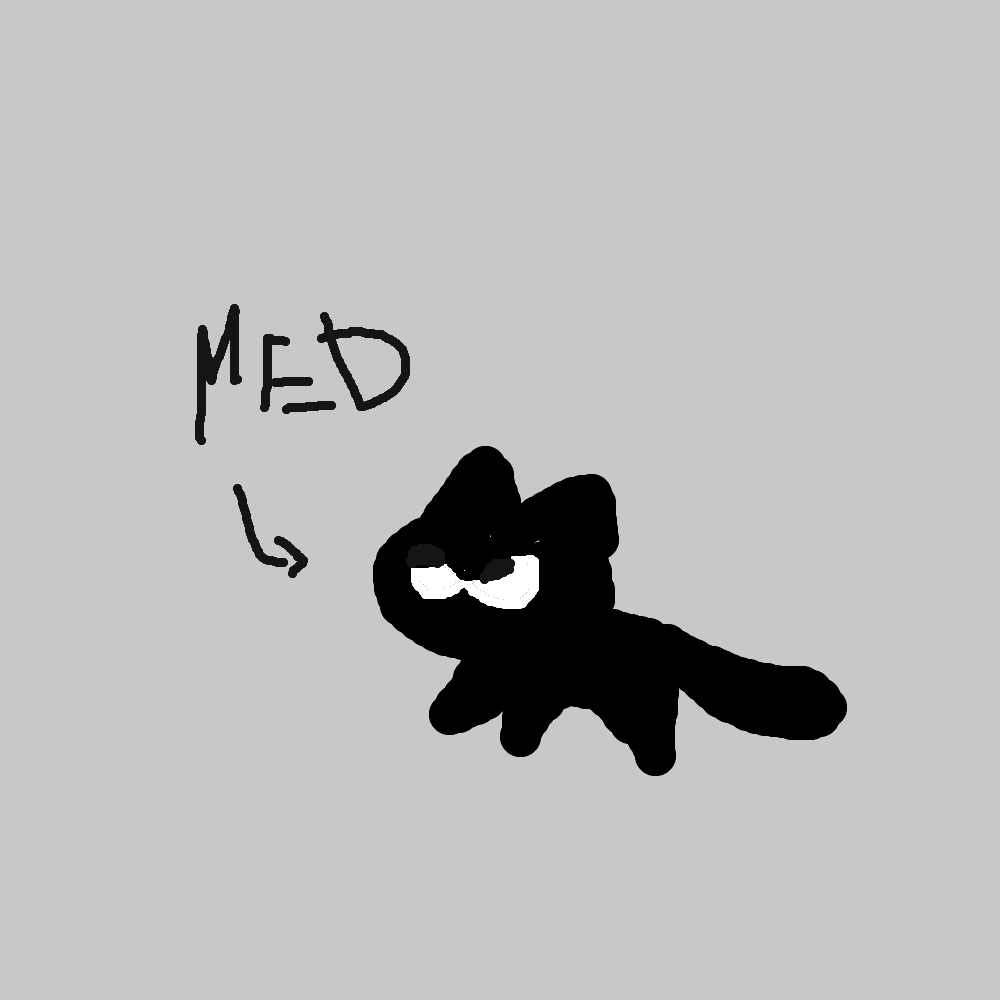 Móc khóa Mèo Điên Muahha >:]