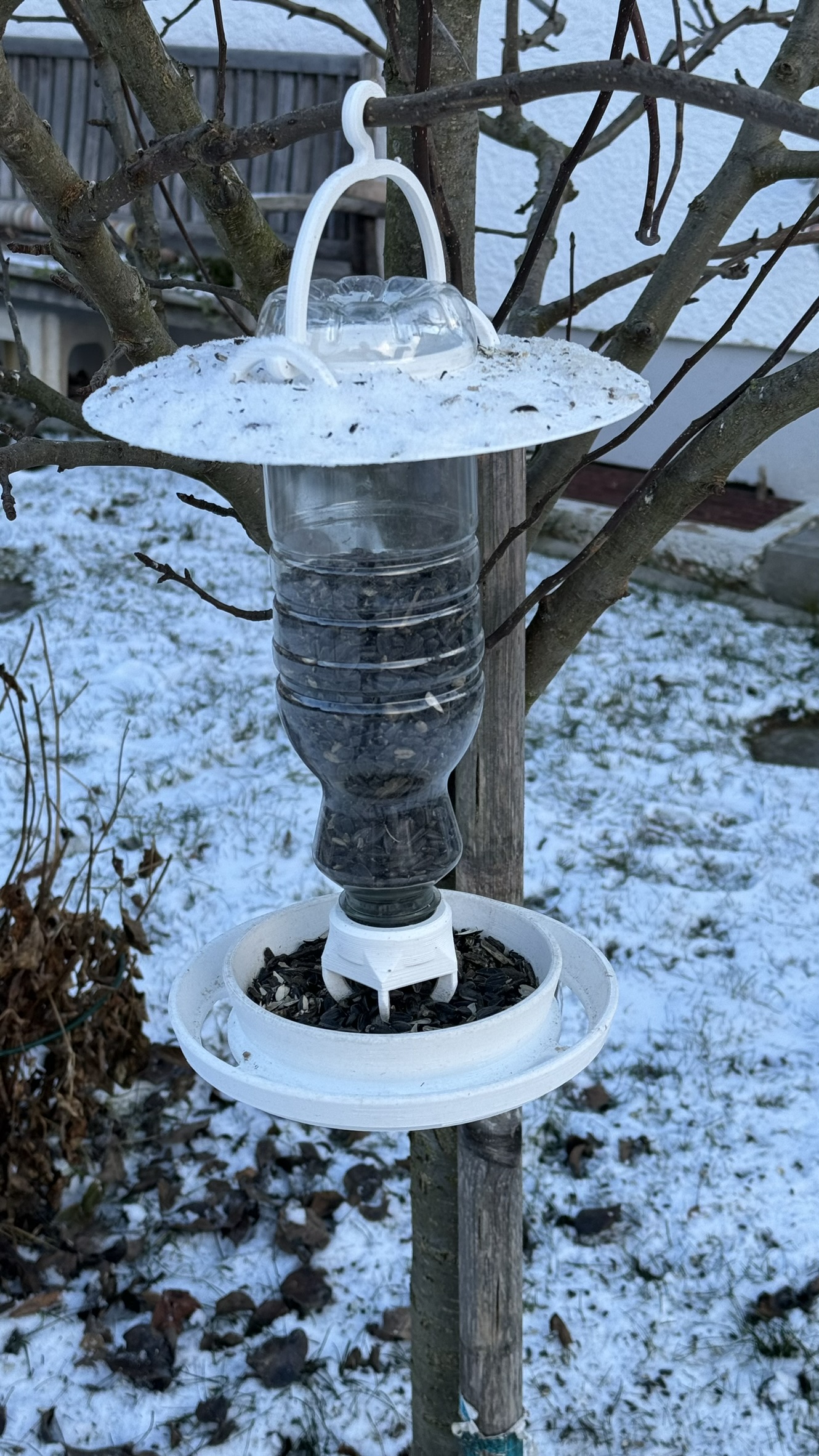 Máy cho chim ăn / Bird feeder