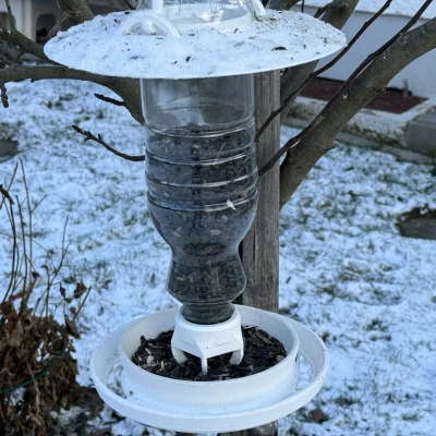 Máy cho chim ăn / Bird feeder