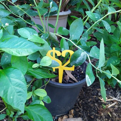 BIỂN BÁO GIÁ ĐÔ LA CHO CHẬU CÂY