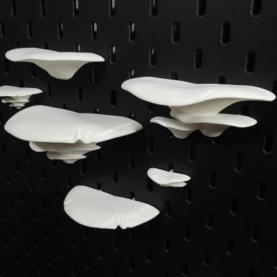 Kệ Nấm Cho Bảng SKÅDIS