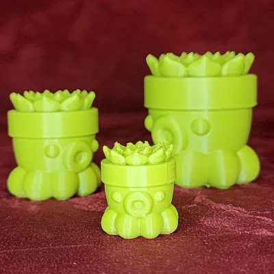 Bạch Tuộc Trồng Sen Đá Số 2