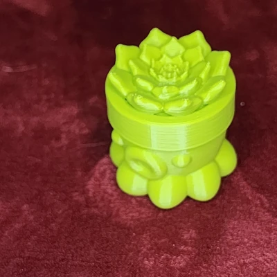 Bạch Tuộc Trồng Sen Đá Số 2