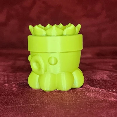 Bạch Tuộc Trồng Sen Đá Số 2