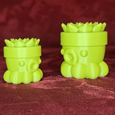 Bạch Tuộc Trồng Sen Đá Số 2