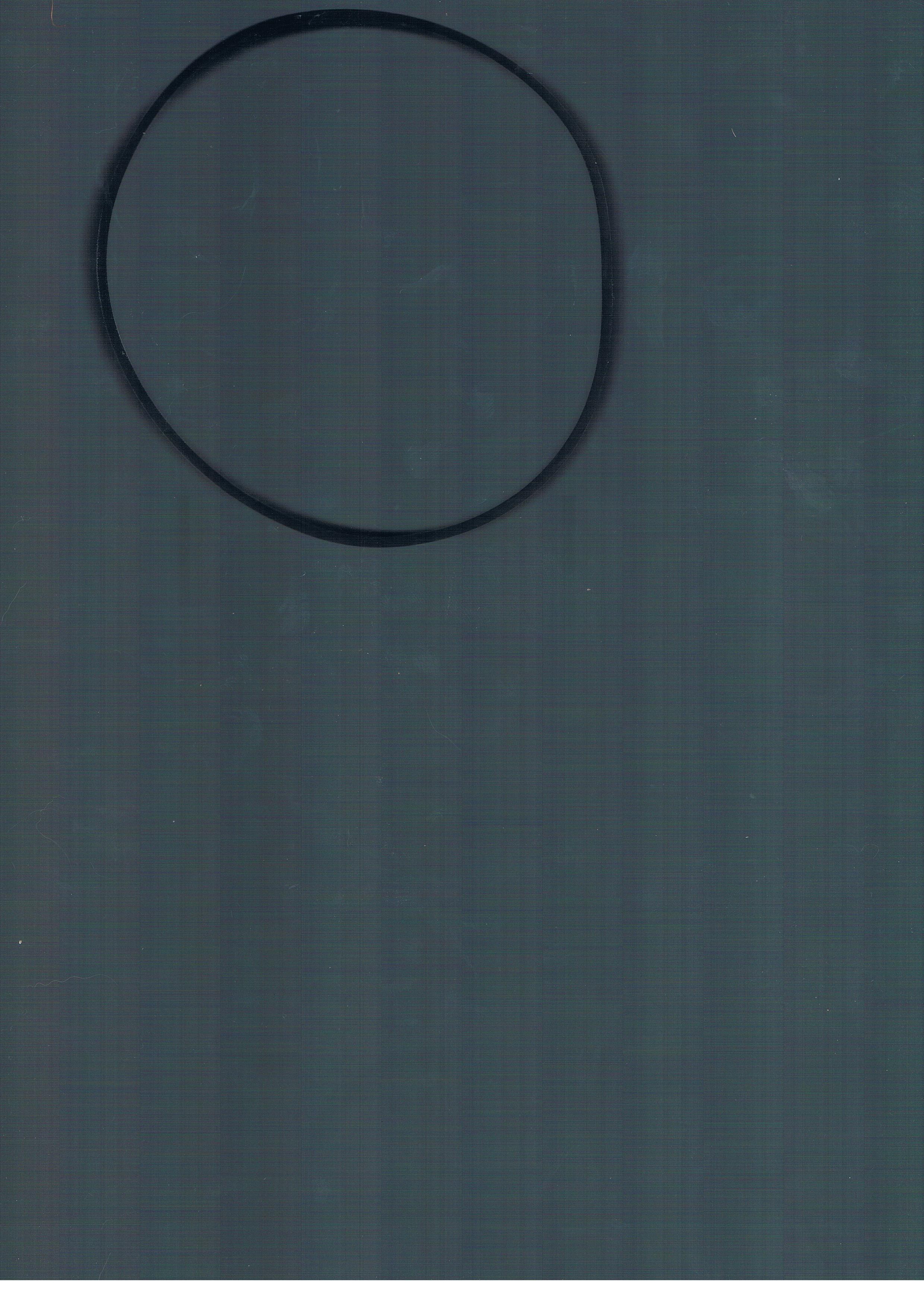 Dây Curoa Thay Thế Cho Máy Hút Bụi Bissell P/N 3031120