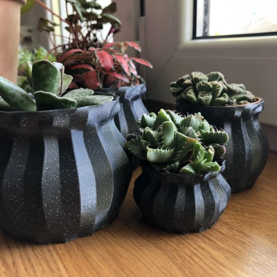 Chậu Hoa Đơn Giản Theo Chế Độ Lọ