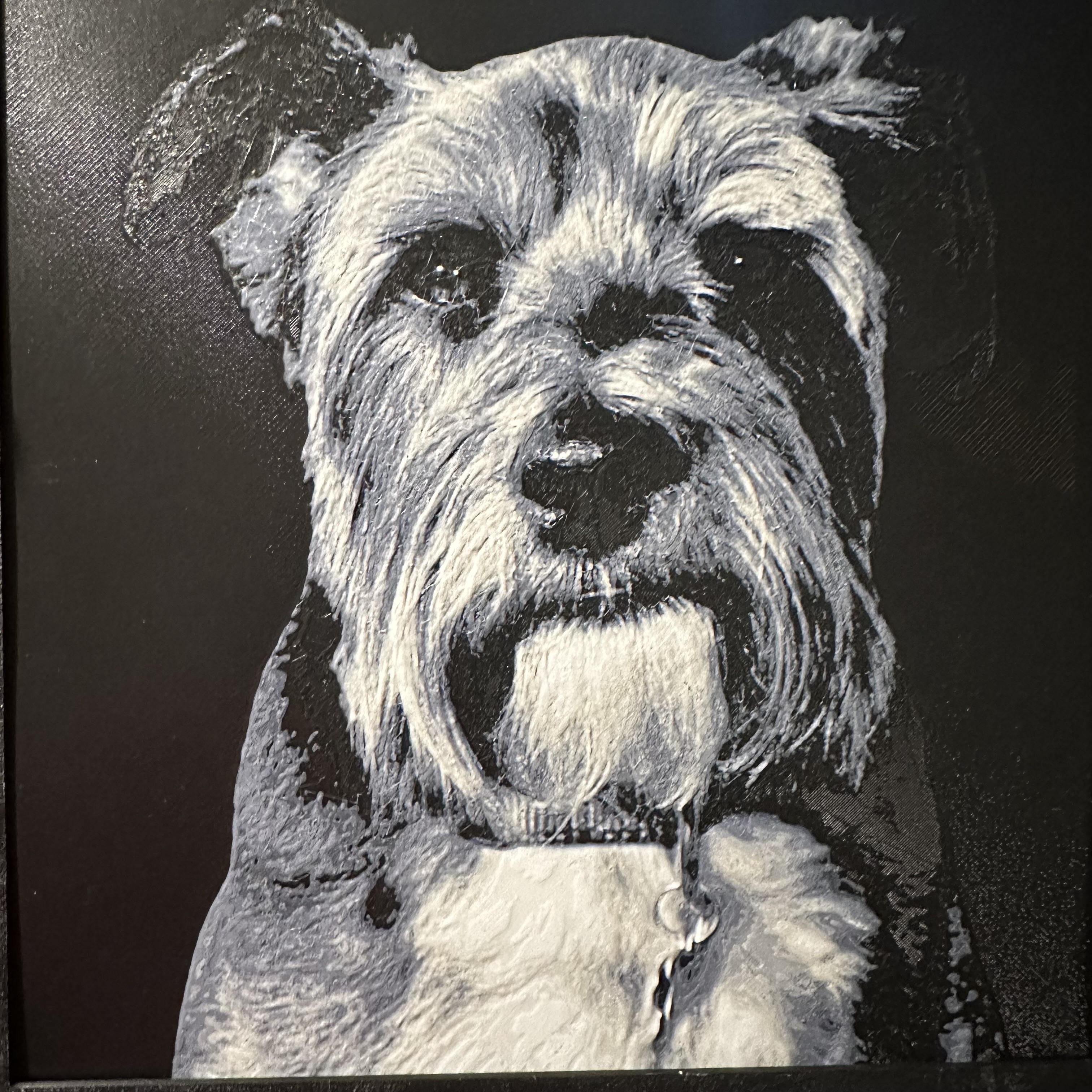 HueForge - Toby (Mô hình thú cưng)