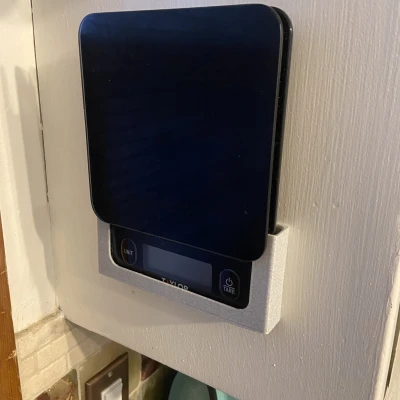 Giá Treo Tường Cho Cân Bếp Taylor