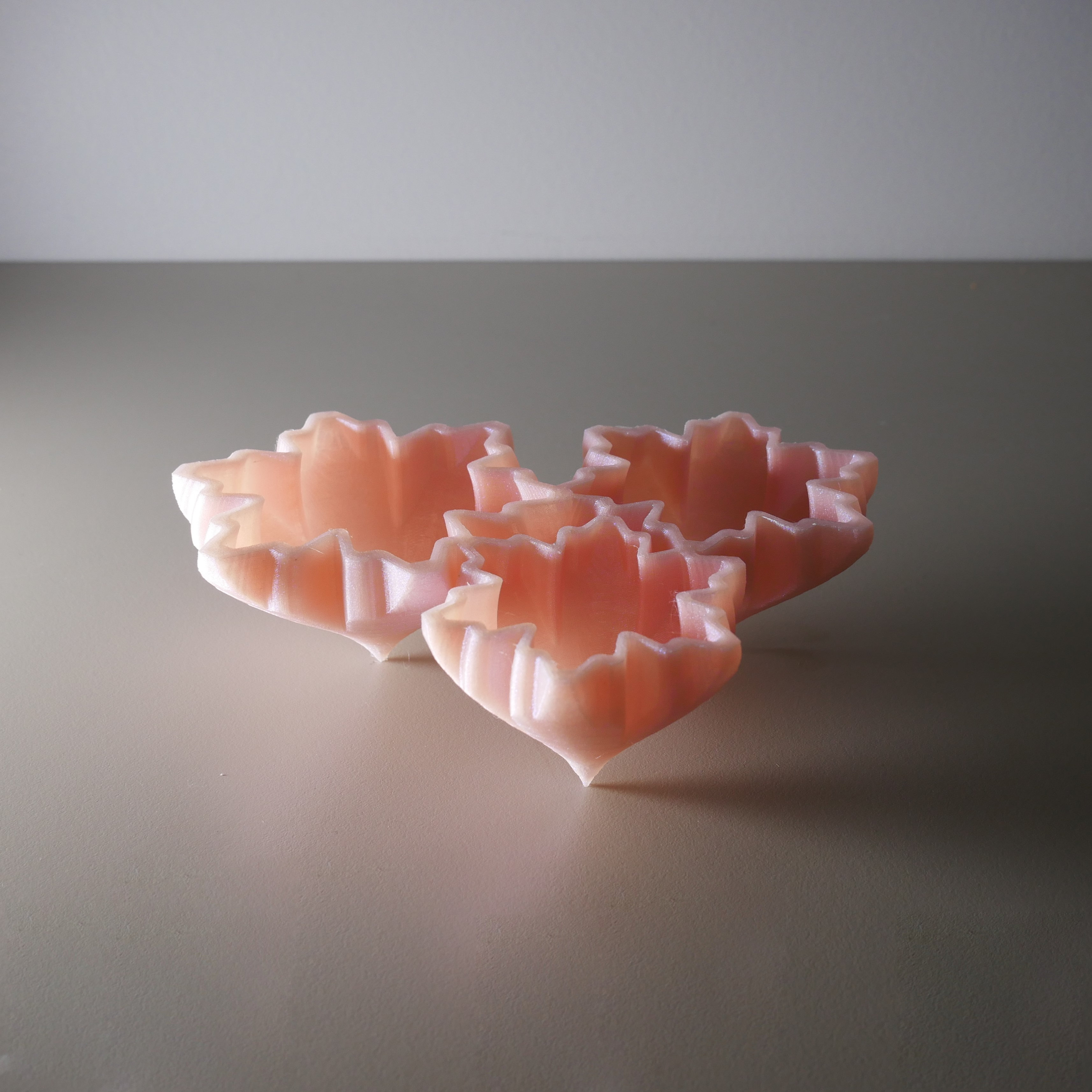 Chậu Tiên Lá (Leaf Pixie Pots)