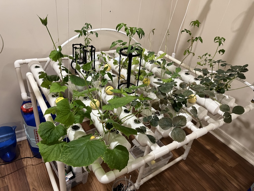 Khớp nối ống 2.5" (63mm OD)