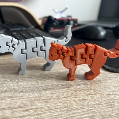 Mèo Dẻo - Flexi Cat - FxCat