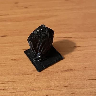 Đầu Koudelinek trong túi nilon