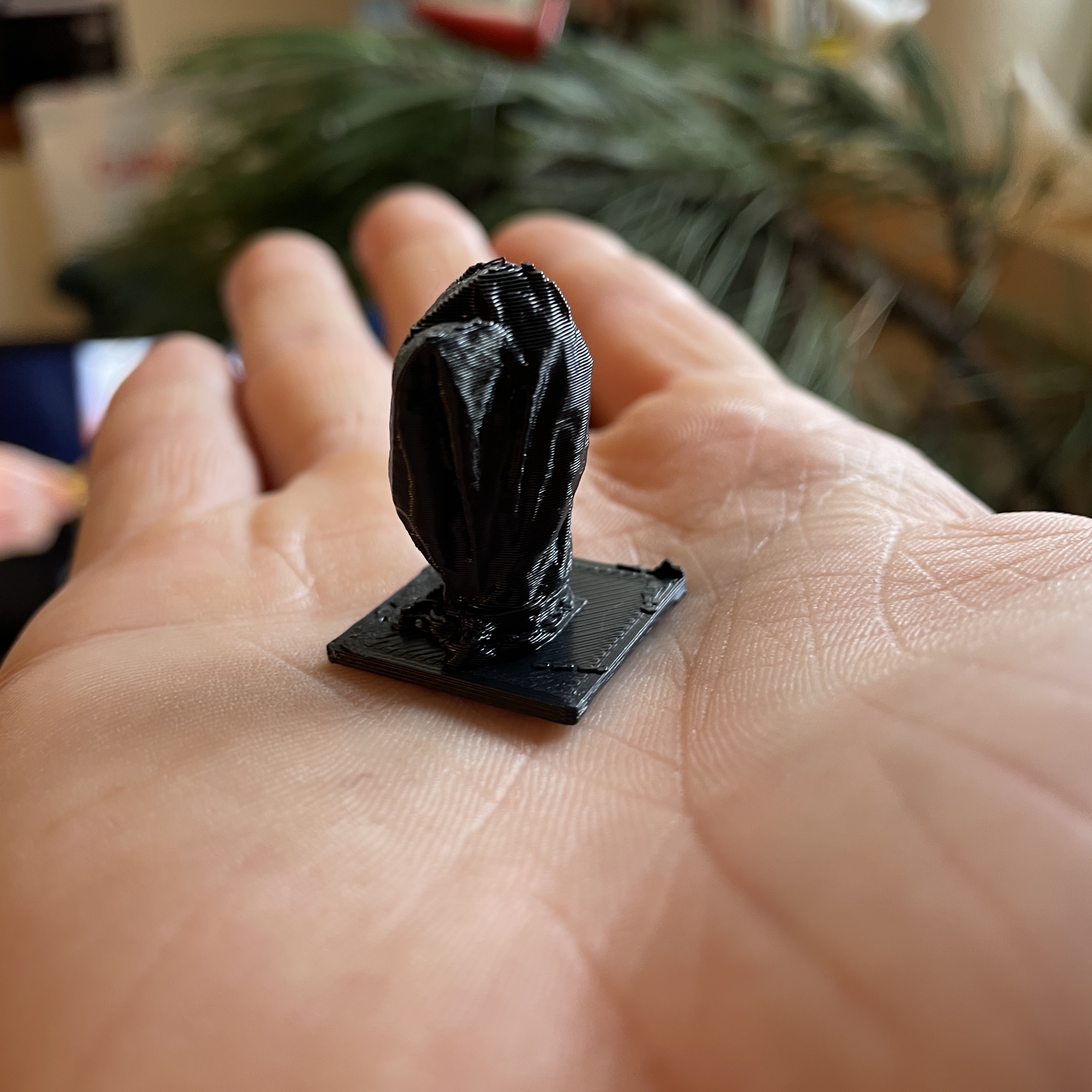 Đầu Koudelinek trong túi nilon