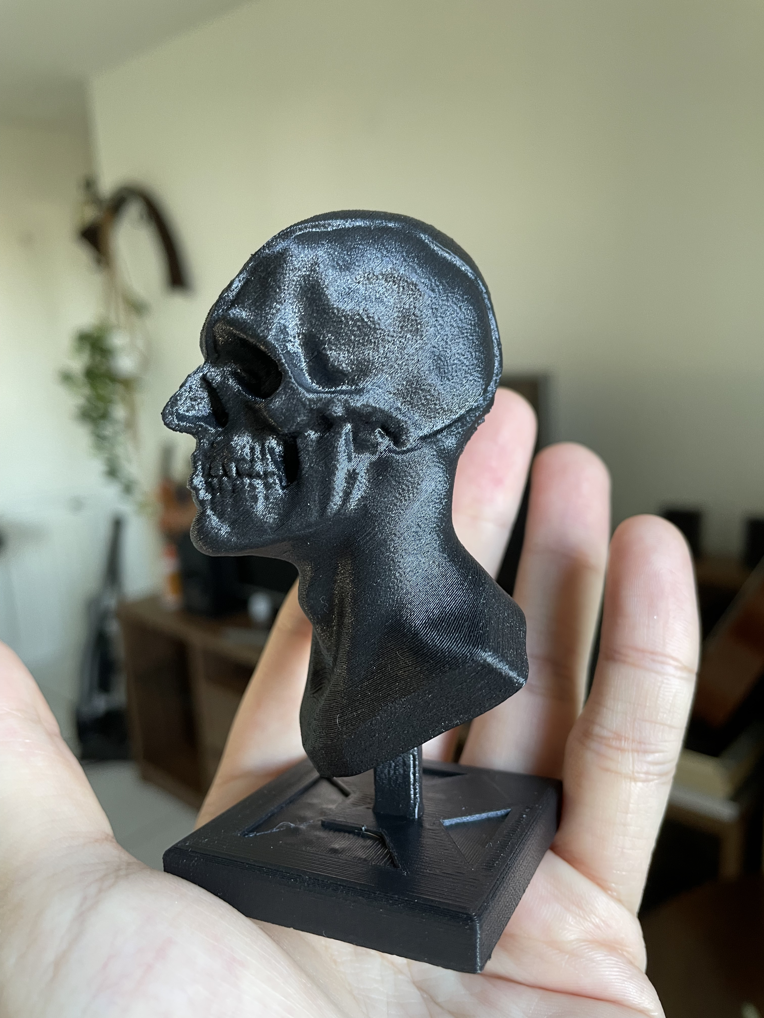 Nghiên Cứu Tượng Bán Thân