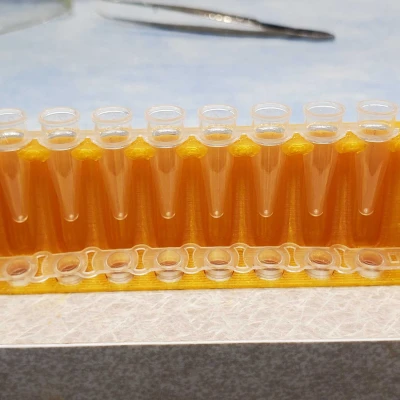 Giá Đựng Ống PCR