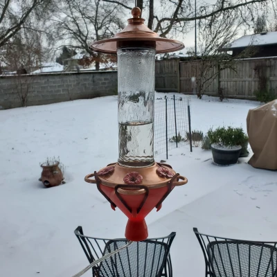 Tái Thiết Kế Bộ Giữ Ấm Bình Mật Hoa Chim Ruồi