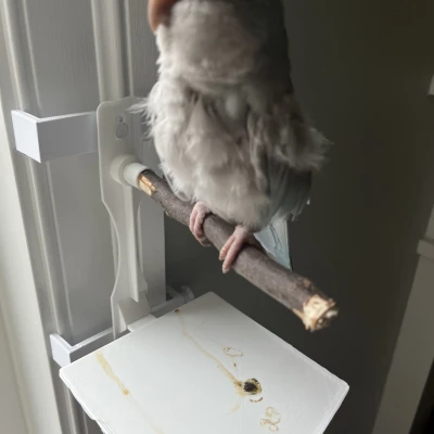 Cây Đậu Chim Có Khay Đựng Phân