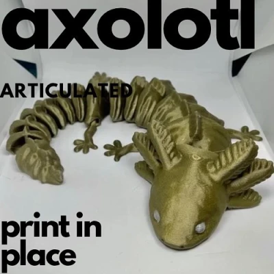 ARTICULATED AXOLOTL