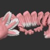 ARTICULATED AXOLOTL - Thumbnail 3