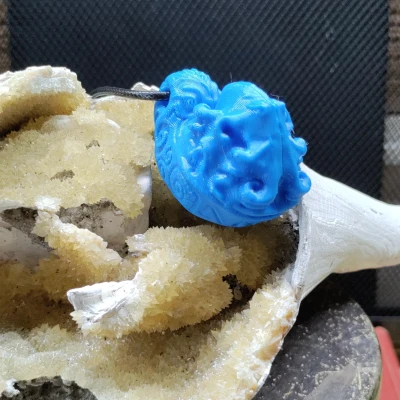 Bạch tuộc Vỏ Sò Bị Nguyền Rủa