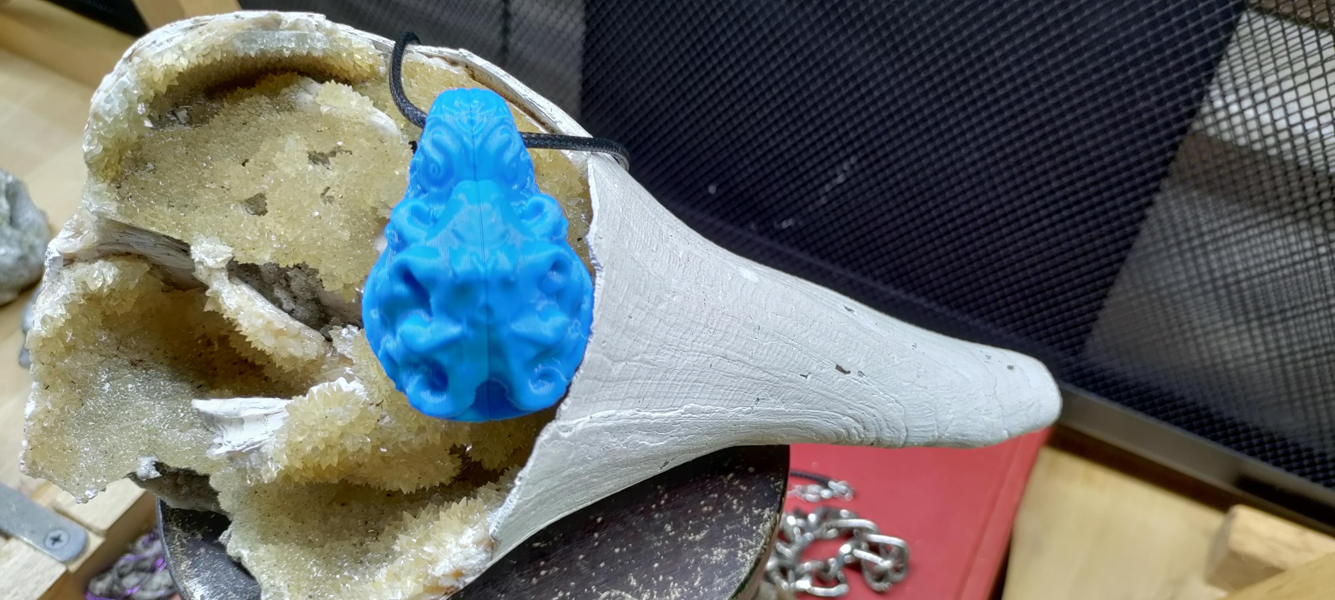 Bạch tuộc Vỏ Sò Bị Nguyền Rủa