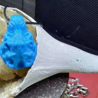 Bạch tuộc Vỏ Sò Bị Nguyền Rủa