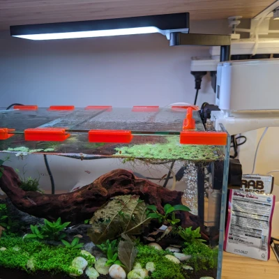 Máng ăn tự động cho hồ cá