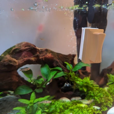 Dụng cụ vệ sinh hồ nano nam châm