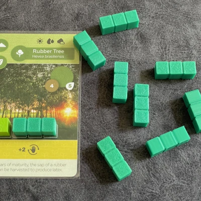 Token đất 5x cho board game Earth