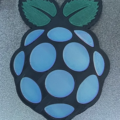 Tranh Treo Tường Logo RPI