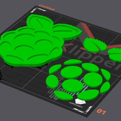 Tranh Treo Tường Logo RPI