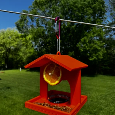 Chỗ Cho Chim Oriole Ăn