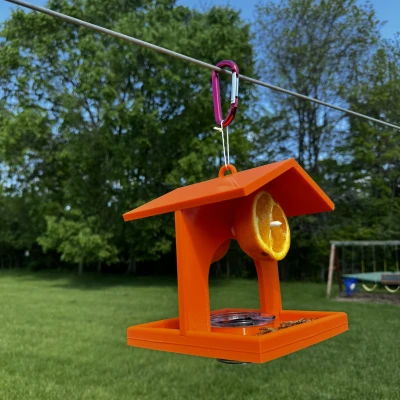 Chỗ Cho Chim Oriole Ăn