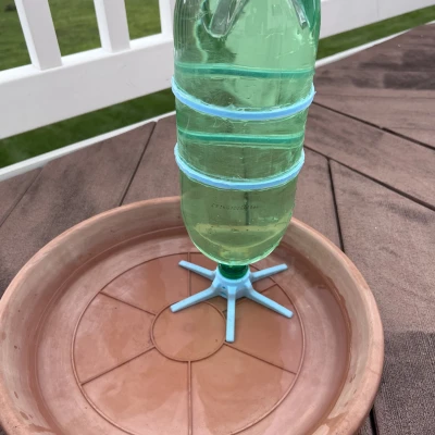 Nhà Tắm Chim Tự Đổ Nước