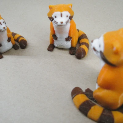 Rascal the Raccoon - Mô Hình Đa Sắc Độc Đáo