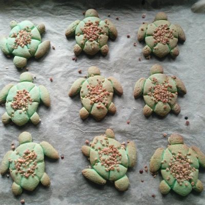 Khuôn Cắt Bánh Hình Con Rùa