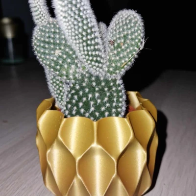 Chậu hoa văn tổ ong