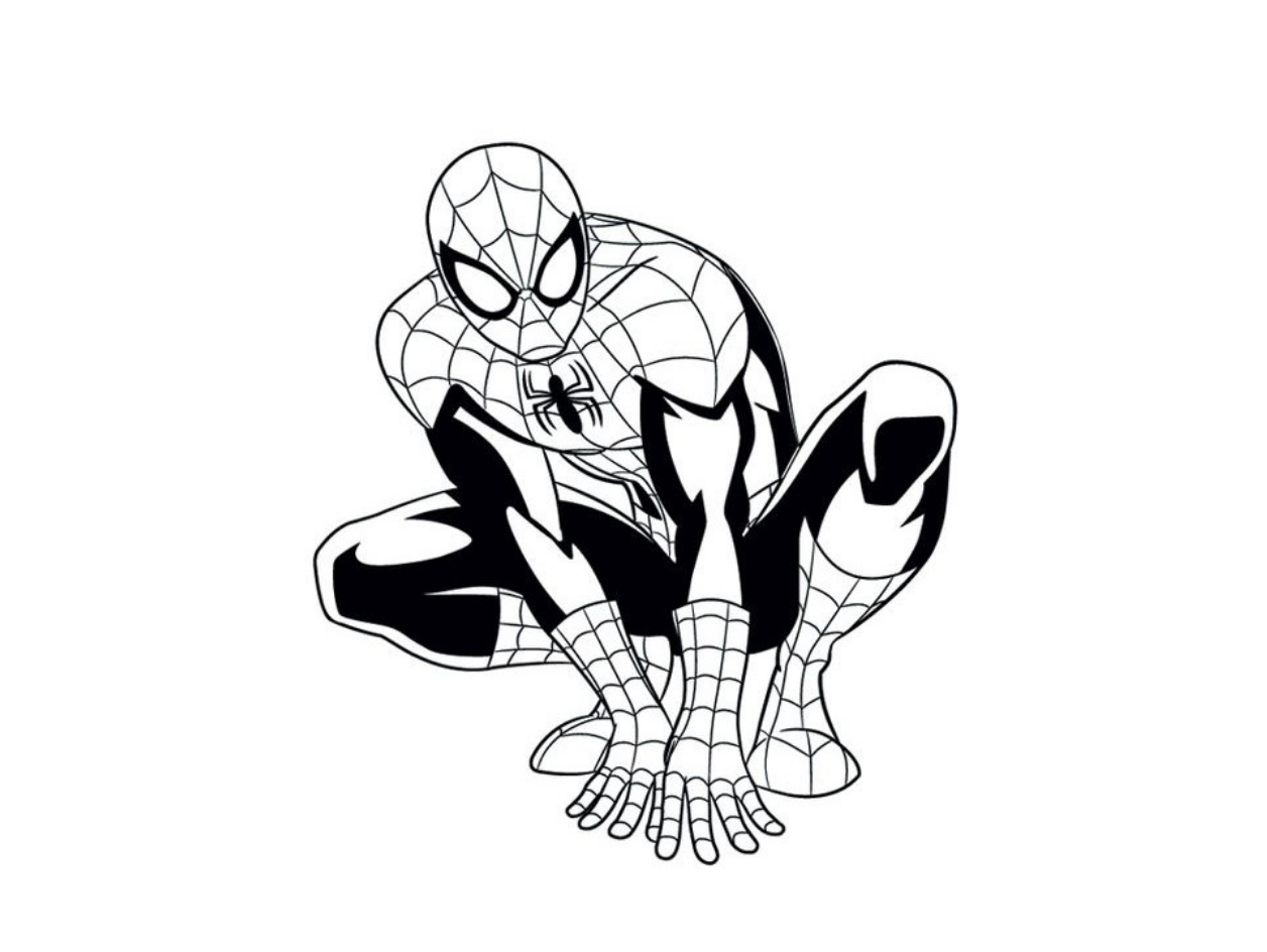 Mô Hình Spiderman Trang Trí Tường Độc Đáo