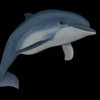 Mô hình cá heo chân thật