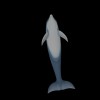 Mô hình cá heo chân thật - Thumbnail 4