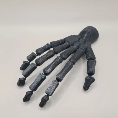 Bàn tay bộ xương (có thể cử động)